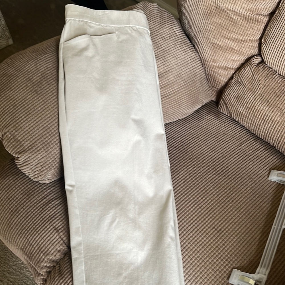 Susan Graver ankle length pull on pants.